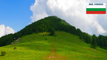 e306b8081e6