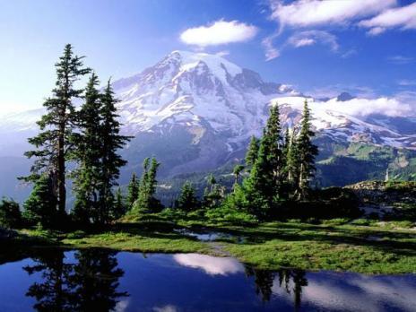 pirin-park